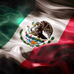 Mexicanos al grito - Dj Spacer