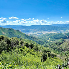 TAKE EM DOWN (bonus)