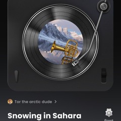 Snowing in Sahara.mp3