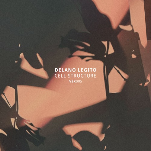 PREMIERE: Delano Legito - Baddie Movement [VSX005]