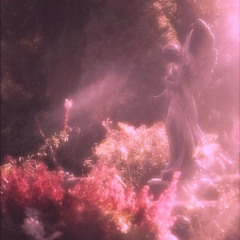 garden(reimagined)