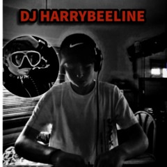 Harrybeeline freestyle
