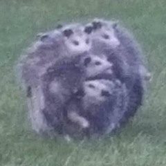 Elongated Muskrat by Penelope Scott (demo of Rat)