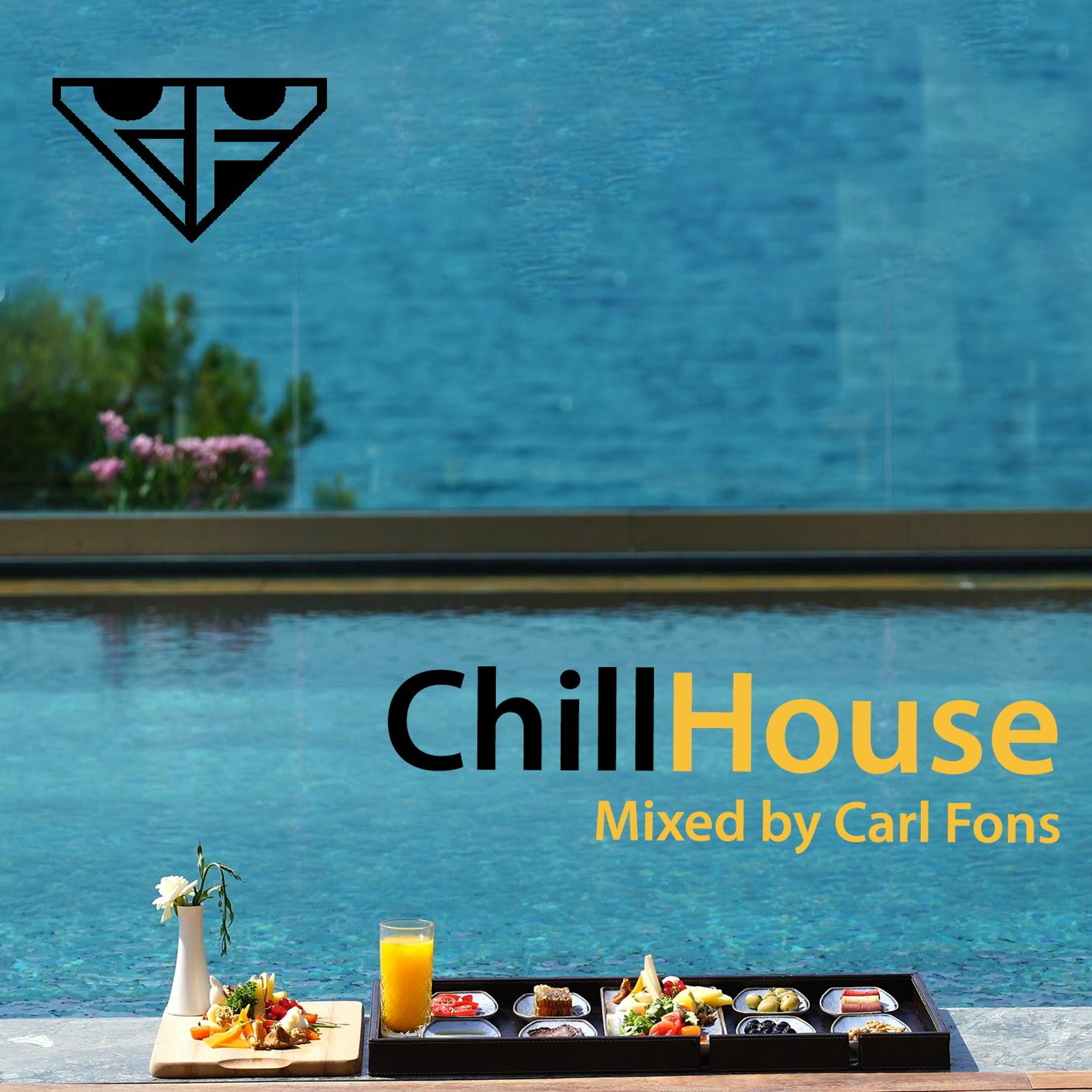 Techouse & techno