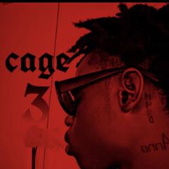 CAGE 3