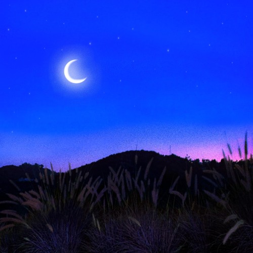 Cayo Coco - Find A Way