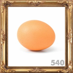 540: A egg.