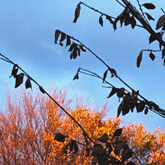 slow dancing with tuff guys (sorrowbringer)