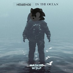 hedgehog in the ocean