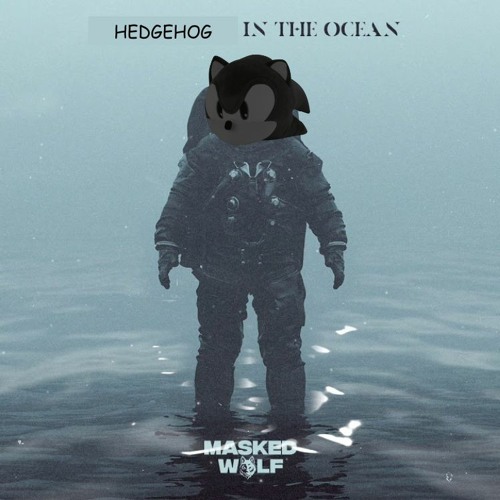 hedgehog in the ocean