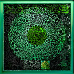 umru & Chase Icon — Records(pìccolo Drum Edit)_140