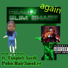 REALLY SLIM SHADY (prod. Pash Beats)