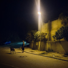 Night Shadows