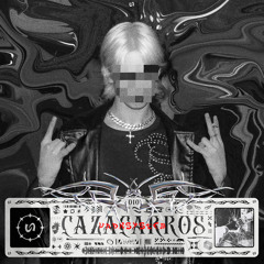 MIX SERIES 010 | CAZACARROS