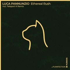 PREMIERE: Luca Pannunzio - Ethereal Rush (Teleport-X Remix) [PURRFECTION]