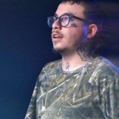 deedot BLOWEN WILSON [tiki flip]