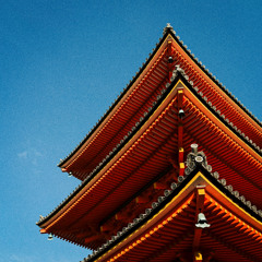 what is your question?