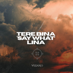 Tere Bina x Say What Cesara Lina - VIZANO Edit