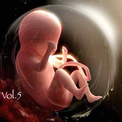 Border Crossing Vol.5