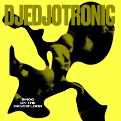 PREMIERE : Djedjotronic - Not Real