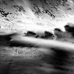 bizarre / temptation