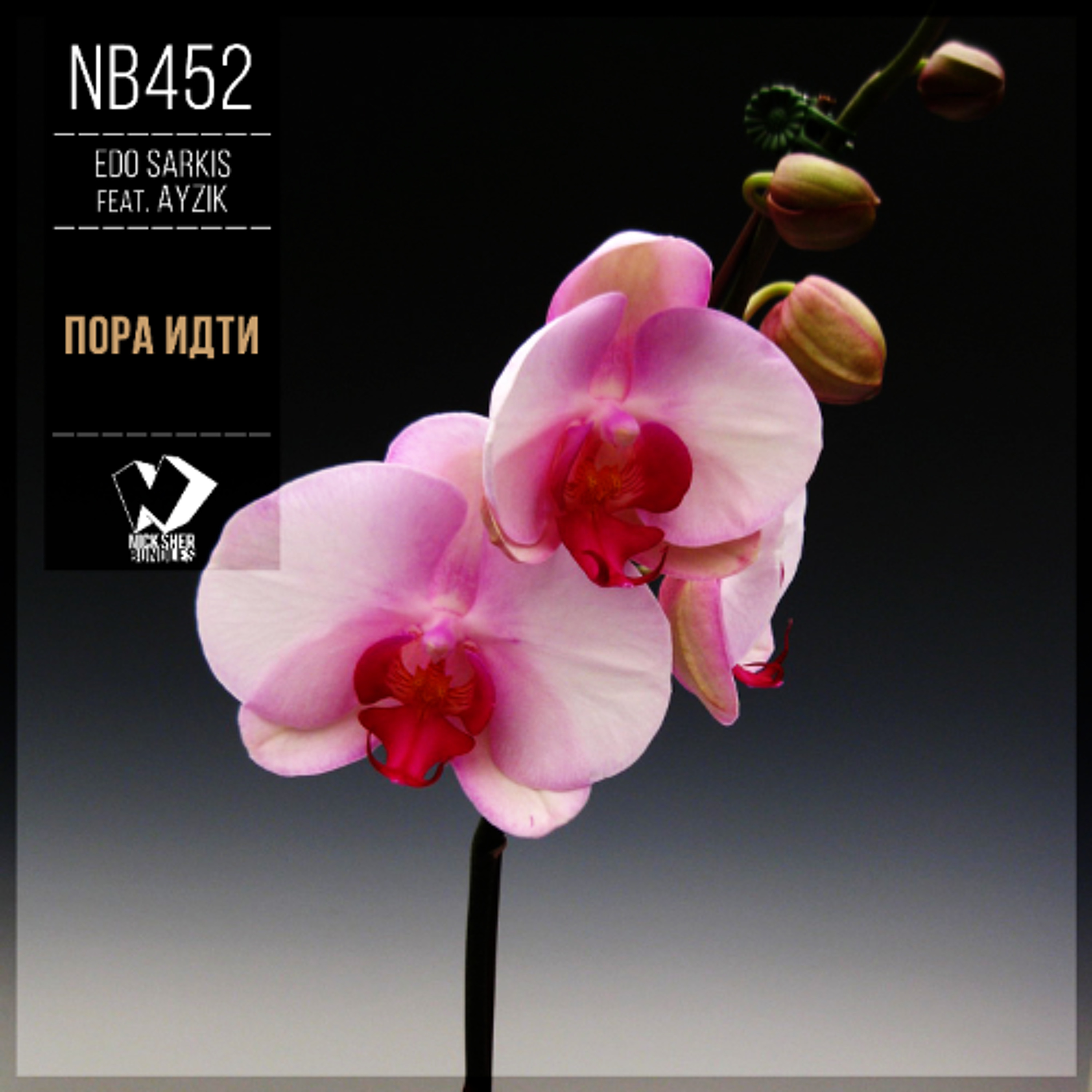 Edo Sarkis feat. Ayzik - Пора Идти (Dub Mix) episode artwork