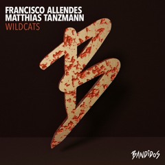 Francisco Allendes, Matthias Tanzmann - Wild Cats (Original Mix)