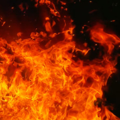 Bloodhound gang- The roof is on fire