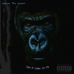 Not A STAIN FREESTYLE