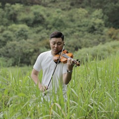 Sau Này Gặp Lại Nhau Khi Hoa Nở - Nguyên Hà | TUAN cover | violin cover (Dao Duy Tuan )