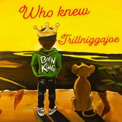 Trillniggajoe - who knew mix 1