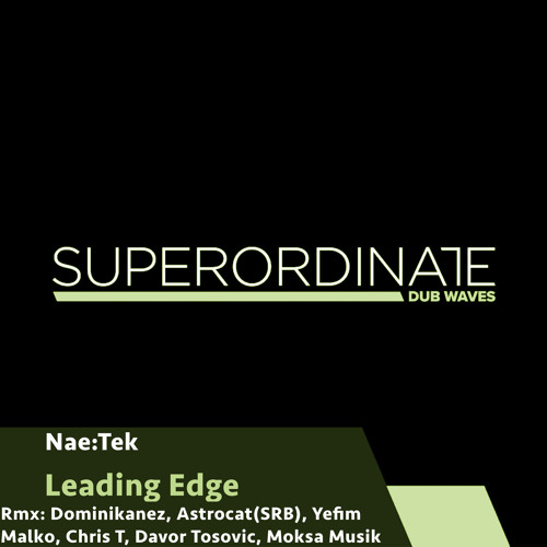 Leading Edge (Dominikanez Rmx) [Superordinate Dub Waves]