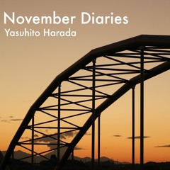 November Diaries