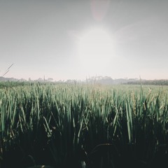 your guardian angle - red jump suit (cover).mp3