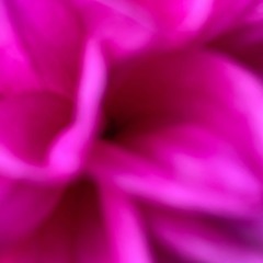 Lullabies for Dreaming Awake