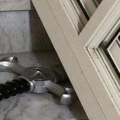 LANCILLOTTO (cell recording)