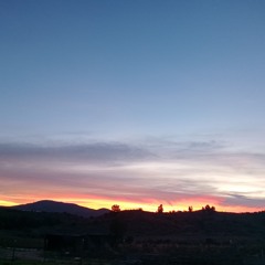 Milio - Y las luces se apagaron