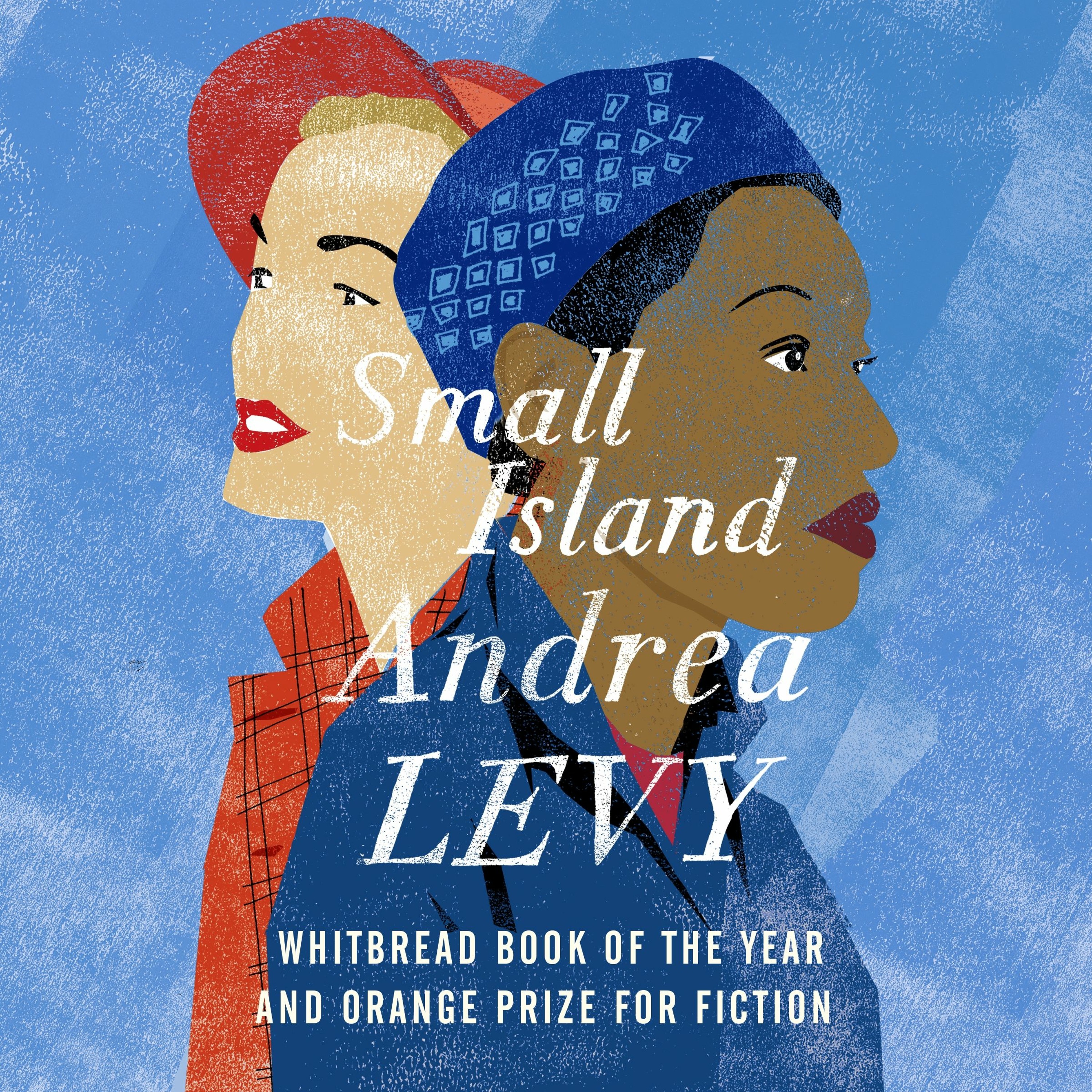 cover of episode SMALL ISLAND written and read by Andrea Levy