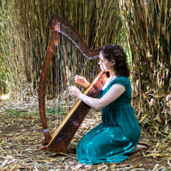 Gatekeeper - Claire-Louise McBride composition performances, John Lister additional instruments