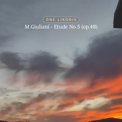 M.Giuliani - Etude No.5 (op.48)