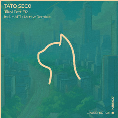 PREMIERE: Tato Seco ─ Boba Fett (Montw Remix) [PURRFECTION]