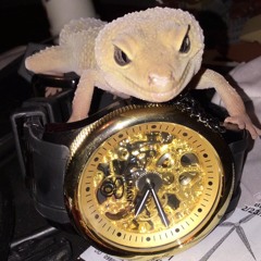 Twin System w/ Junior - February 2021