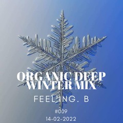 - ORGANIC DEEP WINTER MIX - #009 - FEB 2022