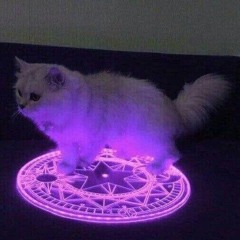 Everything is killing