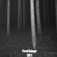 Forest Endanger