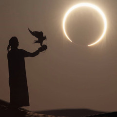 الليالي طويله،،