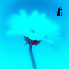 Justin Bieber - Daisies (Lovepark. Edit)