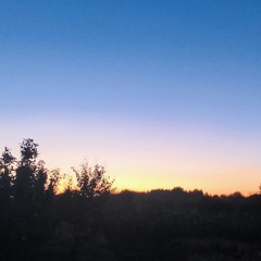 lightwaves @wbbeats9