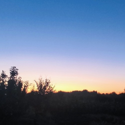 lightwaves @wbbeats9