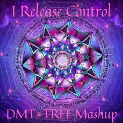 I Release Control (Twerkaba Mashup)